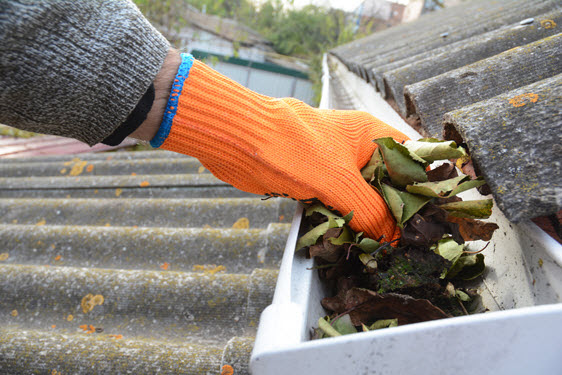clean gutters before winter